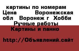 картины по номерам › Цена ­ 700 - Воронежская обл., Воронеж г. Хобби. Ручные работы » Картины и панно   